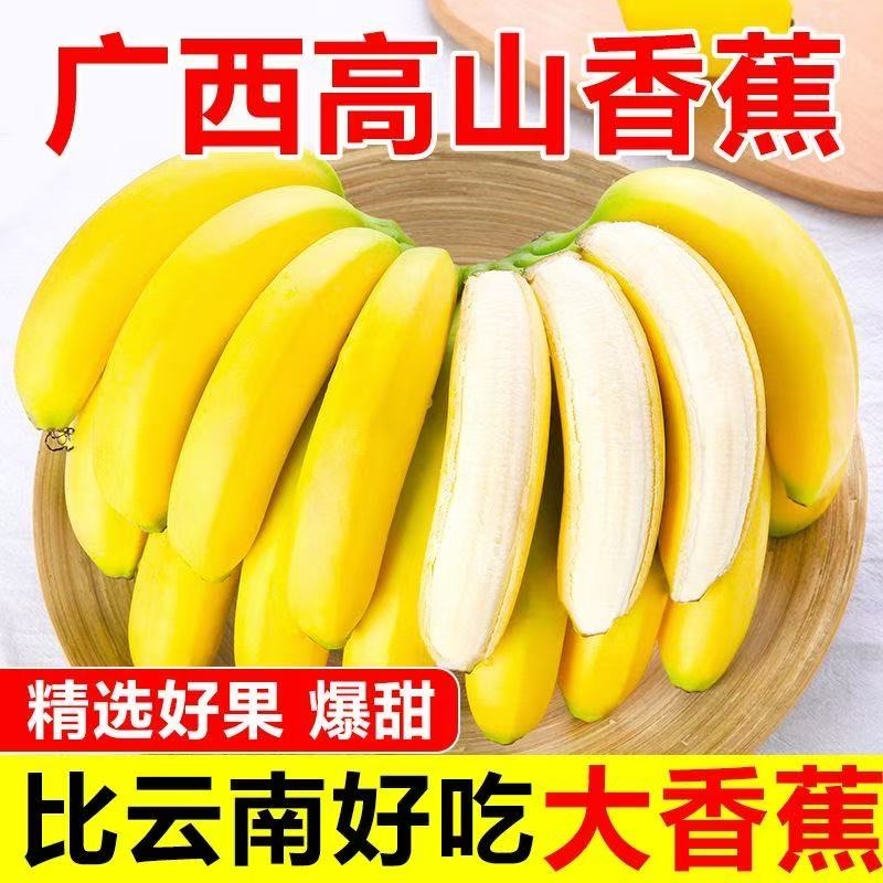 现摘广西高山香蕉新鲜孕妇水果当季自然熟大向蕉甜香蕉