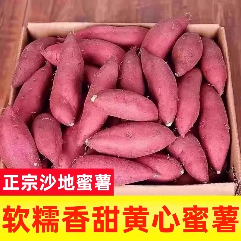 蜜薯新鲜红薯农家香甜薯板栗黄心烤地瓜糖心小番薯山芋自提 - 封面