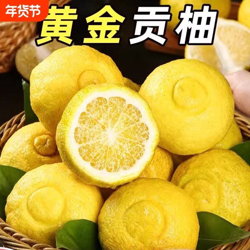 正宗象山青象山春香金柚日本春香橘柚清甜爽口黄金贡柚产地直发