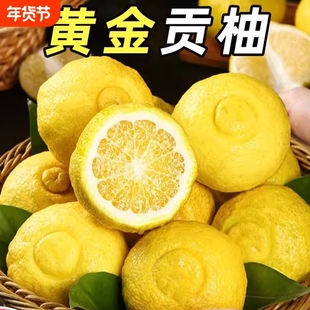 正宗象山青象山春香金柚日本春香橘柚清甜爽口黄金贡柚产地直发