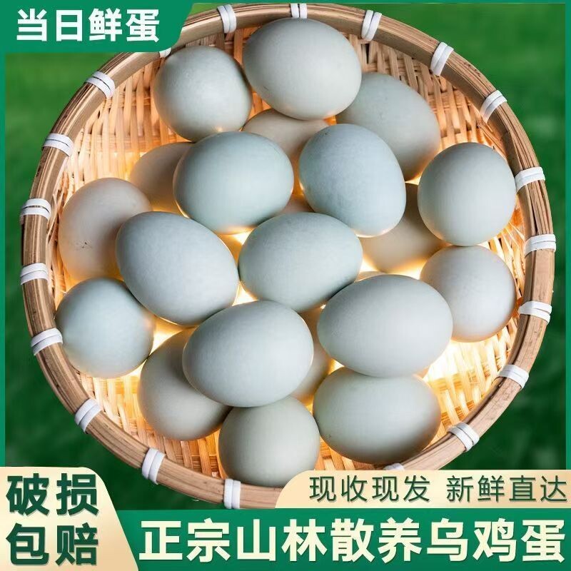 新鲜乌鸡蛋宝宝孕妇蛋月子蛋农家散养绿壳蛋土鸡蛋优质鸡蛋现捡