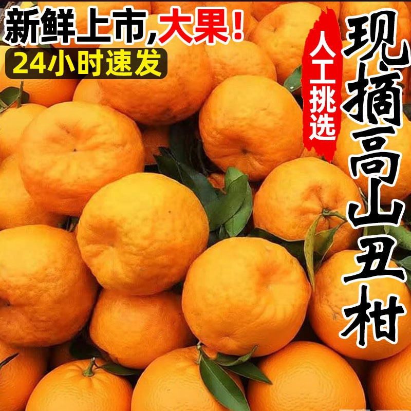 精选高山丑橘特甜当季水果整箱