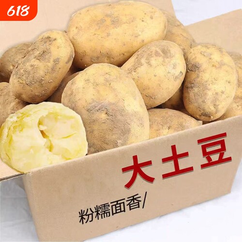 精选农家贵州土豆黄土高原黄心洋芋大土豆马铃薯农家自种整箱