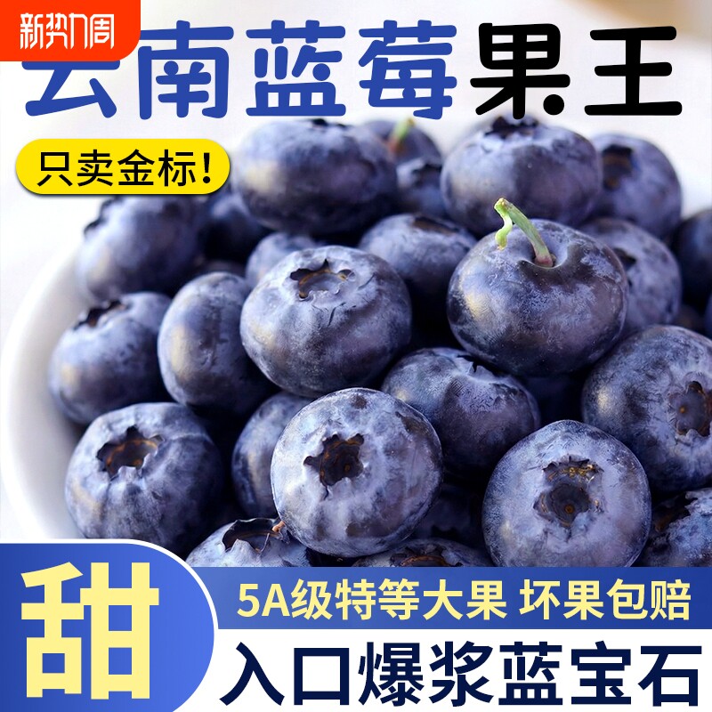 云南花香蓝莓鲜果新鲜水果当季蓝梅高山孕妇大果整箱每日现摘脆甜