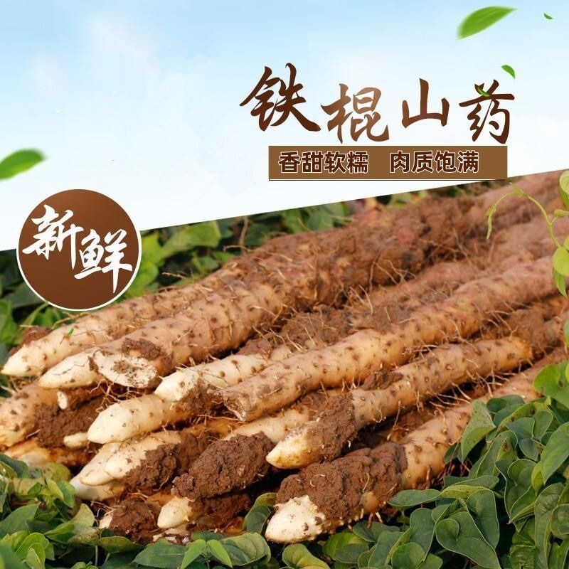宝宝辅食正宗铁棍山药新鲜铁杆淮山现挖小白嘴山药面糯香甜年货节