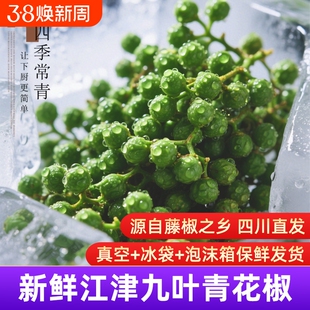 新鲜青花椒椒正宗四川重庆江津九叶青真空保鲜生藤椒麻椒花椒食用