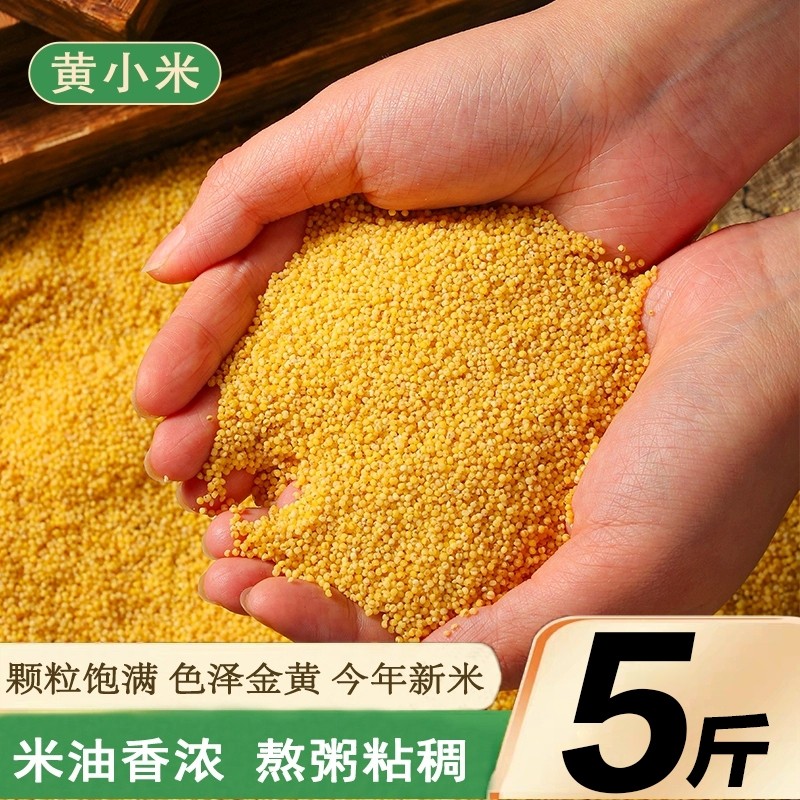 米香油厚黄小米新米农家自种食用粘糯米粗粮食五谷杂粮黄金小米粥,粮油调味/速食/干货/烘焙,小米,淘宝优惠券,粉丝福利购,淘宝优惠卷