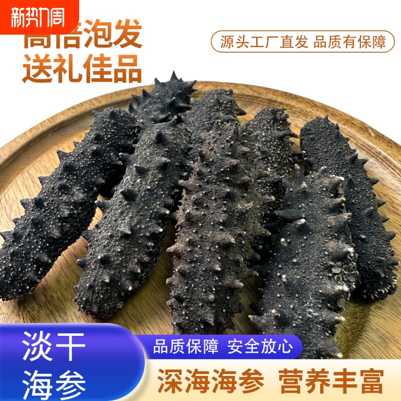 大连淡干海参辽刺参新鲜干货非即食礼盒送礼孕妇源头水产