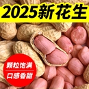 生花生2025年新鲜干花生带壳晒干原味粉红皮白沙高产种子花生果米