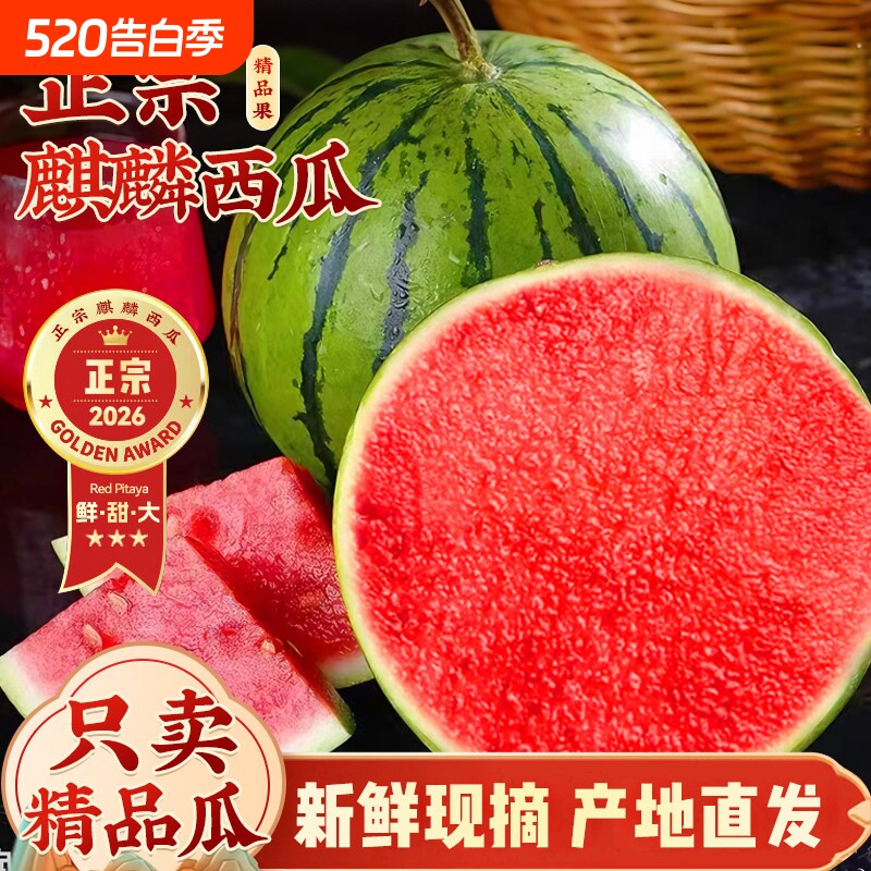 正宗云南麒麟西瓜当季新鲜水果8424美都西瓜现摘薄皮无籽脆甜多汁
