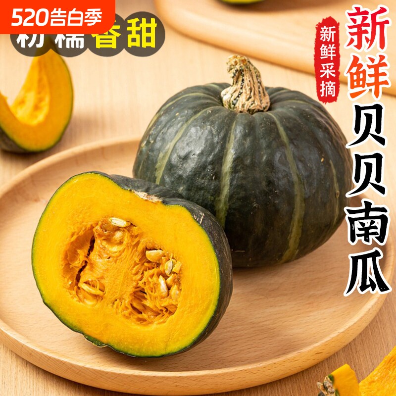 真贝贝南瓜新鲜正宗板栗味小南瓜粉糯甜栗面老瓜5斤宝宝铺食