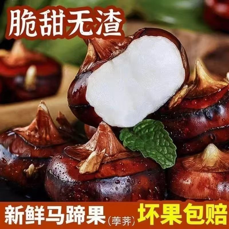 现挖带泥马蹄荸荠新鲜大果正宗多汁地栗特大水果当季蔬菜农家地梨,水产肉类/新鲜蔬果/熟食,荸荠/马蹄,淘宝优惠券,粉丝福利购,淘宝优惠卷