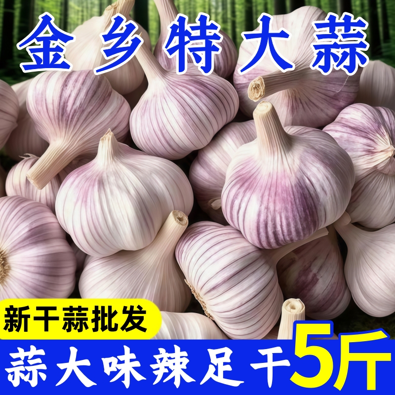 刚山东紫皮大蒜头干蒜批发红皮大蒜子配料十足炒菜自种种植散装