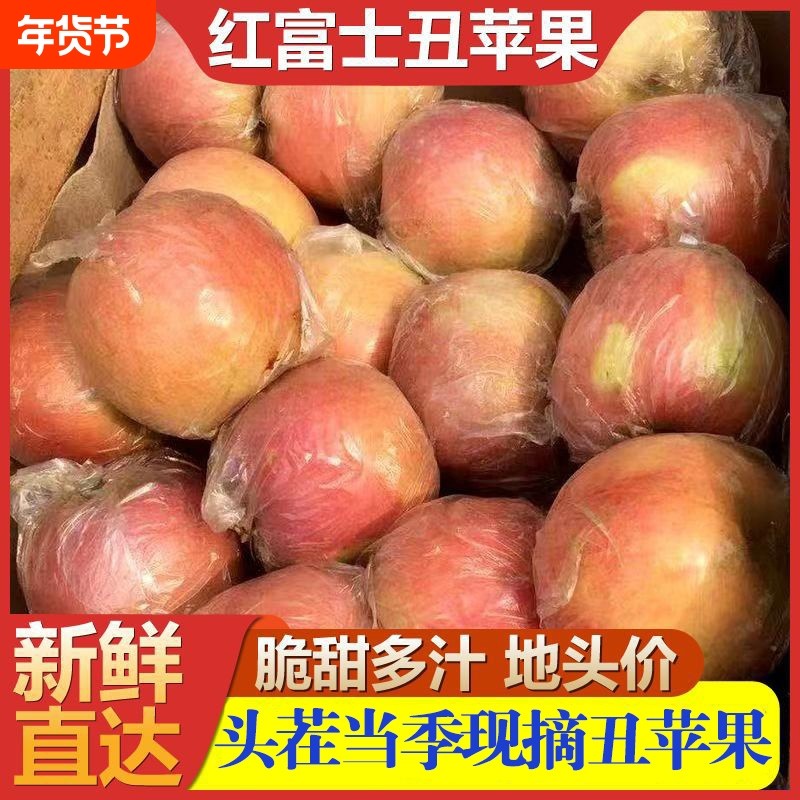 山东丑苹果当季新鲜孕妇水果10斤整箱冰糖心红富士包邮5多汁现摘,水产肉类/新鲜蔬果/熟食,苹果,淘宝优惠券,粉丝福利购,淘宝优惠卷