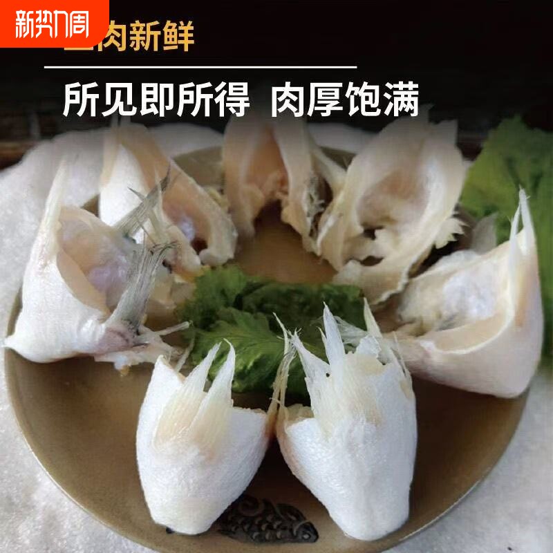 新鲜鲈鱼翅鱼鳍冷冻鲈鱼生鲜海鲜红烧油炸鱼剁椒食材海鲜产品批发
