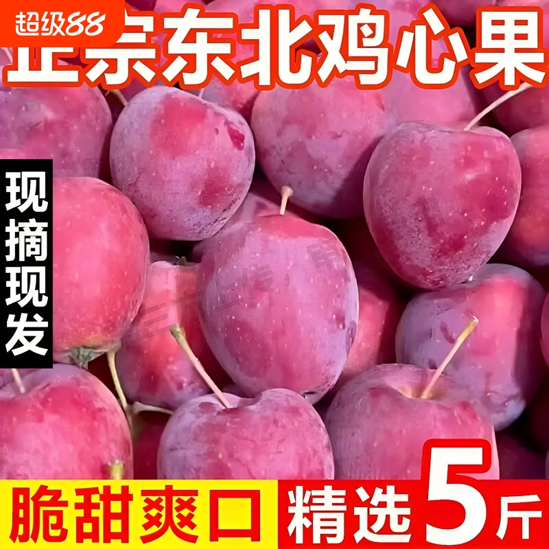 现摘东北鸡心果锦绣海棠沙果甜脆多汁小苹果新鲜应季孕妇水果包邮