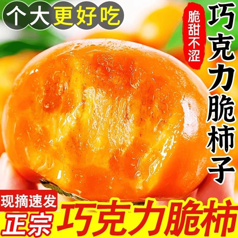 正宗山西阳丰巧克力脆柿