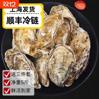 新鲜生蚝乳山鲜活海蛎子生蚝牡蛎整箱本地海鲜水产可刺身