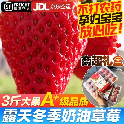 露天大凉山草莓新鲜奶油冬草莓顺丰商用应季孕妇水果空运盒装冬季