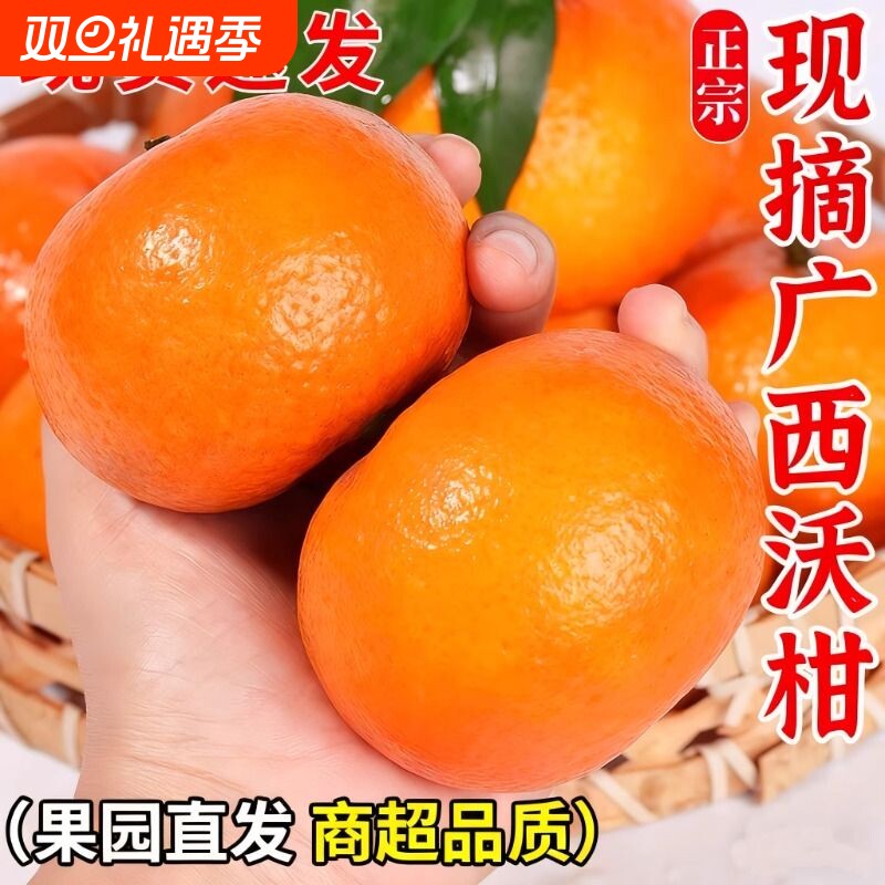 正宗广西沃柑新鲜水果包邮橘子当季沙糖蜜橘桔子现摘现发果园甜蜜