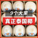 泰国进口香水椰青特大果孕妇去皮水果椰肉新鲜椰子椰汁当季 无添加