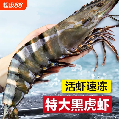 4斤原盒黑虎虾保证活虾速冻