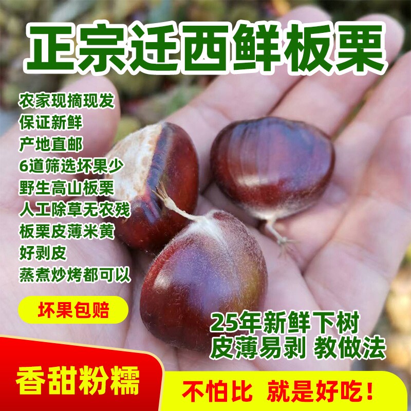 迁西板栗3113炒货批发糖炒商用油栗生板栗子新鲜端午包粽子