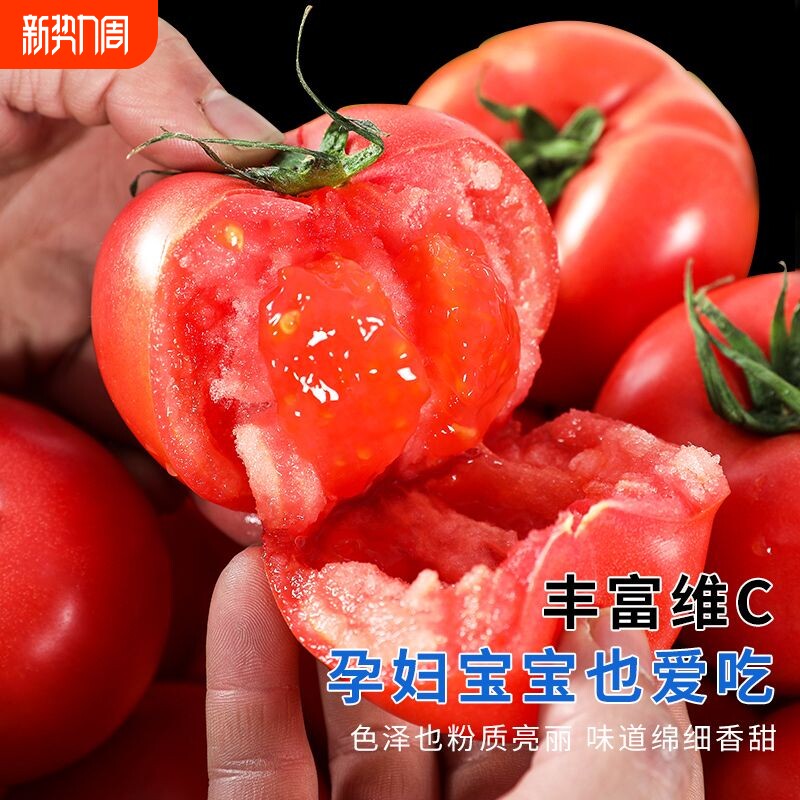 应季蔬菜番茄新鲜西红柿多汁大番茄凉拌生吃产地发沙瓤大果露天