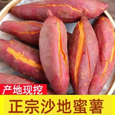 新鲜红薯农家自种现挖龙九蜜薯烤地瓜沙地番薯板栗味香甜软糯可口