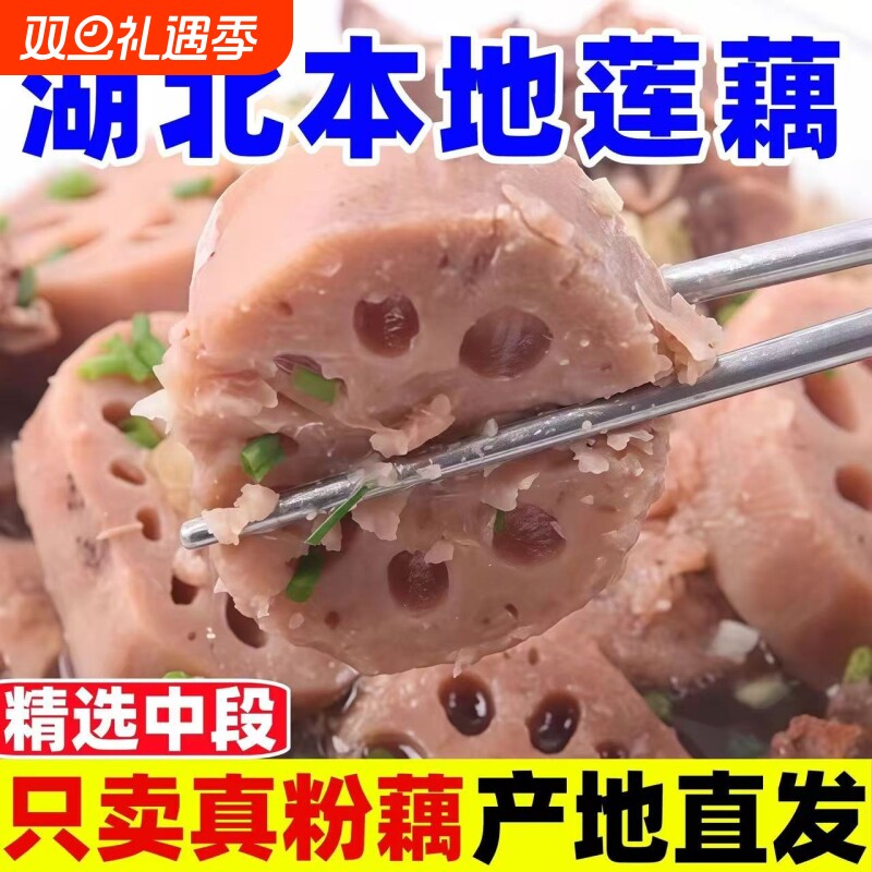 湖北粉藕现挖现发莲藕