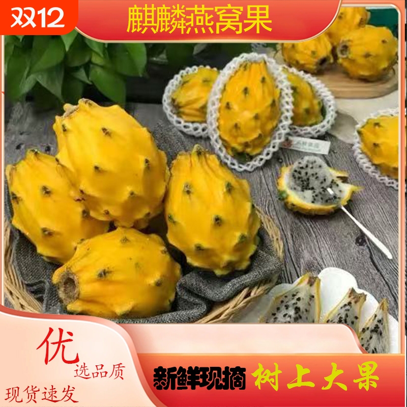新鲜燕窝果罕见稀有海南麒麟果大果黄金火龙果甜孕妇水果