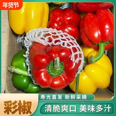 正宗山东甜椒生吃不辣五彩椒5斤