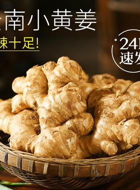 正宗云南小黄姜5斤新鲜生姜老姜批发沙姜蔬菜嫩姜仔姜包邮10食用