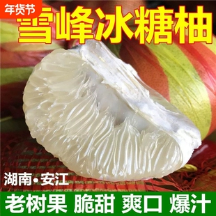 湖南雪峰山冰糖柚安江柚小春柚小香柚小土柚冰糖金柚当季新鲜水果
