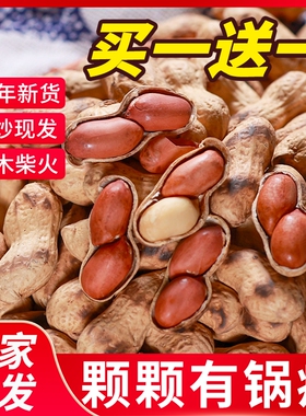 喜云祥花生农家柴火铁锅现炒小籽熟花生带壳原味零食小吃袋装新货