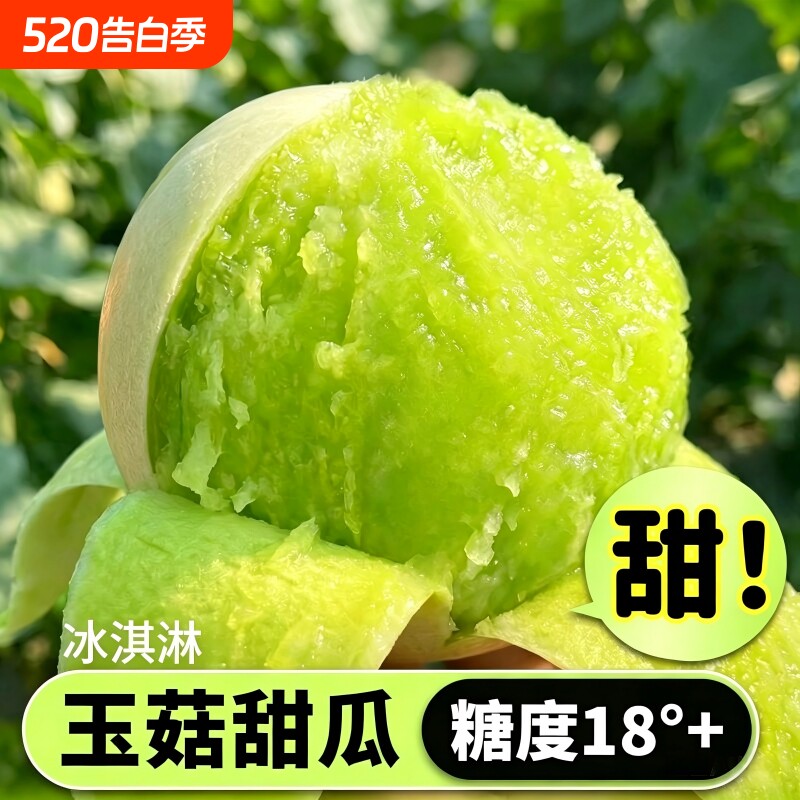 正宗玉菇甜瓜一藤一瓜应当季新鲜水果蜜瓜香瓜冰淇淋脆甜白瓜整箱