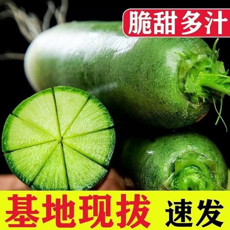 天津正宗沙窝萝卜|超1000次加购