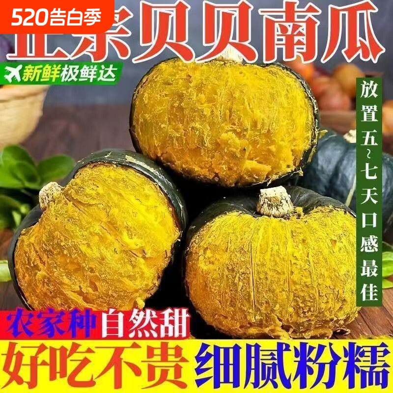 正宗广西贝贝南瓜香甜粉糯板栗小南瓜老人孕妇粗粮婴幼儿宝宝辅食