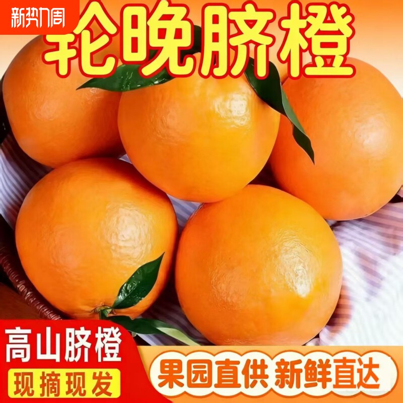 【精品】正宗湖北秭归伦晚春橙脐橙香甜橙子多汁当季水果现摘整箱