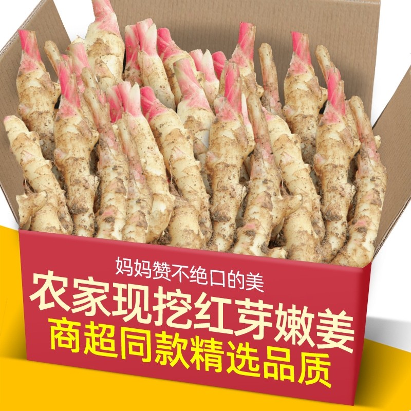 云南红芽嫩姜5斤装新鲜大仔姜子姜生姜现挖姜芽非小黄姜蔬菜食用,水产肉类/新鲜蔬果/熟食,生姜/南姜,淘宝优惠券,粉丝福利购,淘宝优惠卷