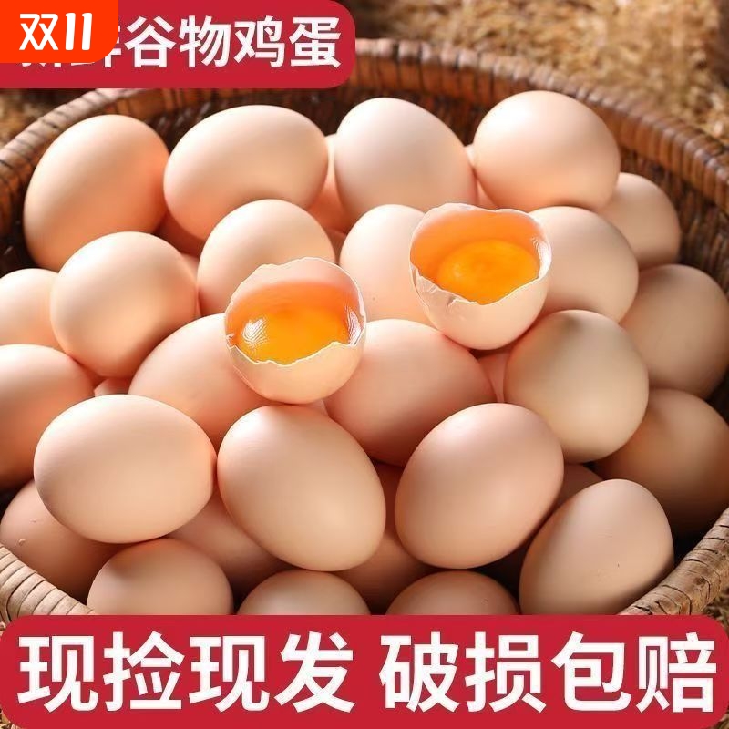 新鲜土鸡蛋50枚40克农家散养鲜鸡蛋土鸡蛋柴鸡蛋整箱现捡