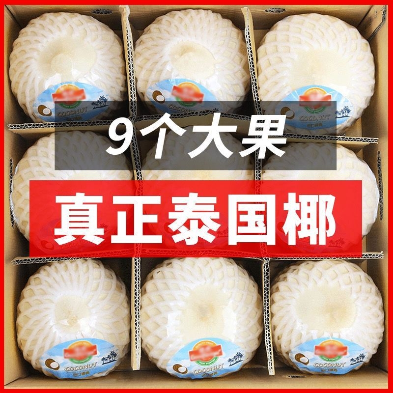 泰国进口特大香水椰青新鲜当季
