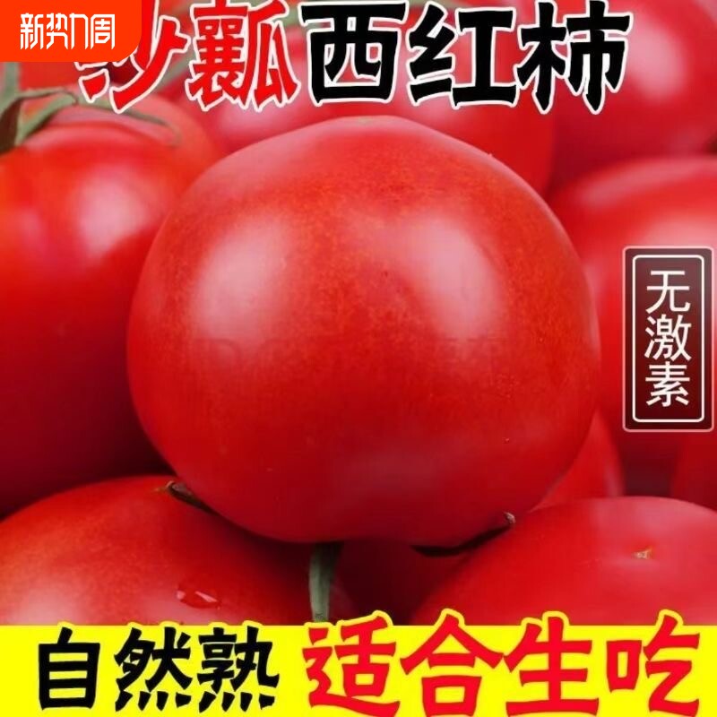 番茄新鲜自然熟沙瓤西红柿生吃当季整箱非普罗旺斯农家自种现摘现