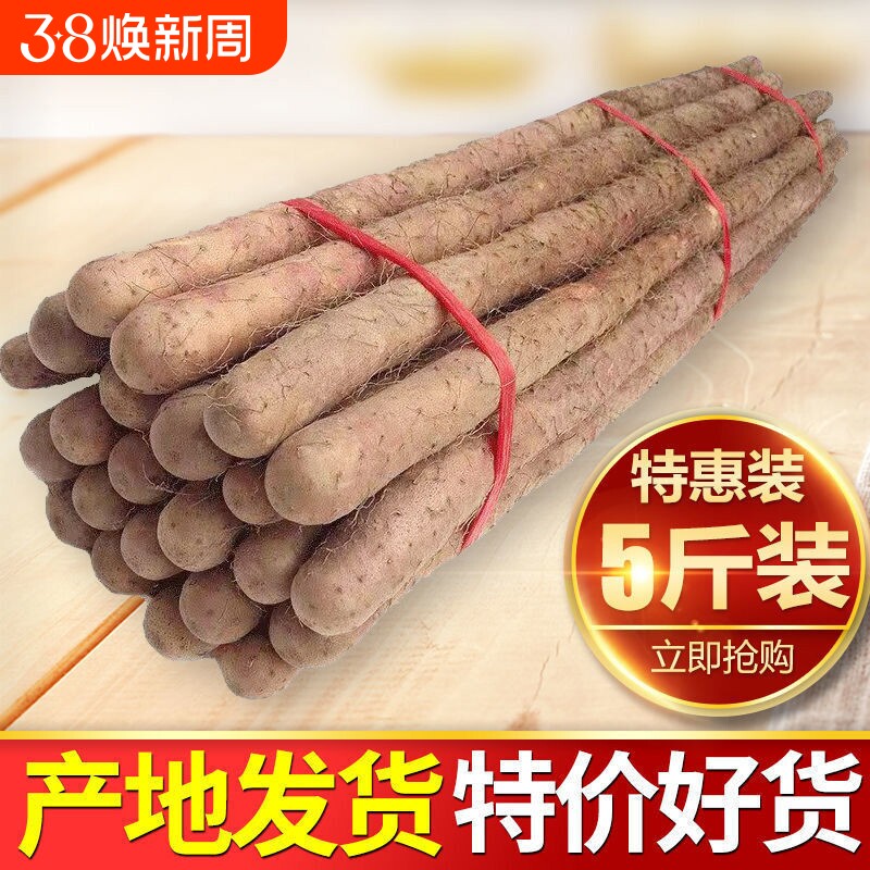 铁棍山药新鲜淮山药铁杆山药小白嘴现挖山药5斤非温县垆土怀山药