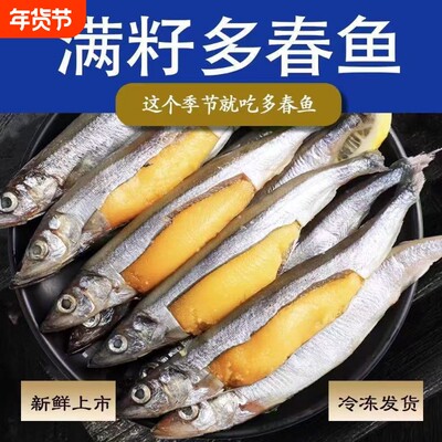 多春鱼满籽新鲜籽鱼冷冻海鲜水产鲜活海鱼烧烤食材生鲜海鲜批发