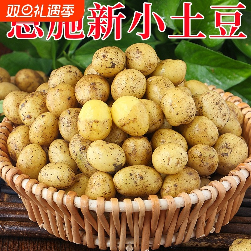 黄心高山大土豆新鲜土豆当季蔬菜特大马铃薯洋芋湖北恩施包邮黄皮
