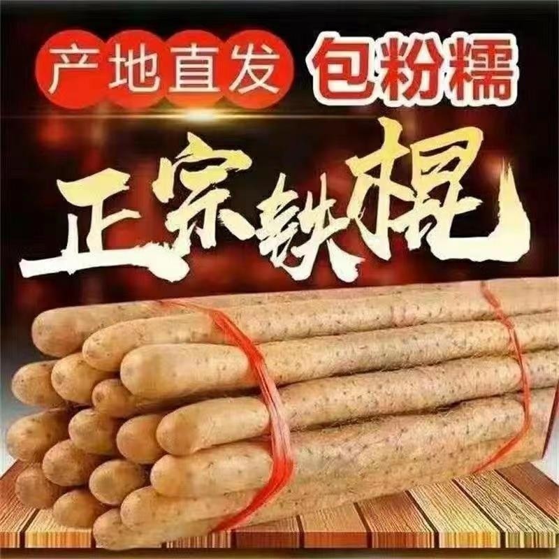 铁棍山药新鲜淮山药铁杆山药小白嘴现挖山药5斤非温县垆土怀山药