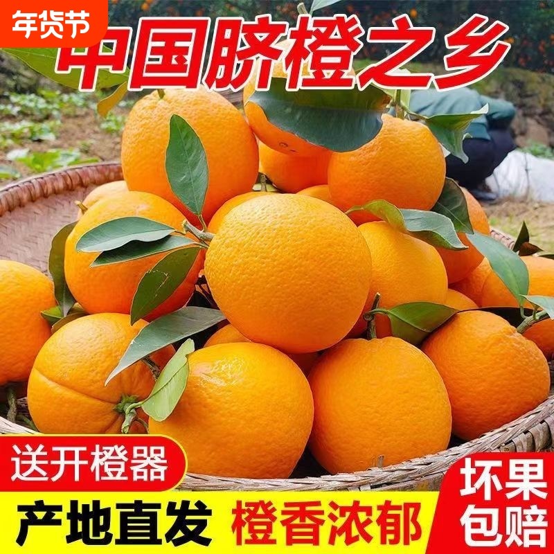 彩箱赣南脐橙彩箱装正宗江西橙子现摘当季新鲜水果礼盒团购大果,水产肉类/新鲜蔬果/熟食,橙,淘宝优惠券,粉丝福利购,淘宝优惠卷
