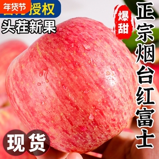 正宗山东烟台红富士苹果新鲜水果当季整箱冰糖心脆甜果园产地直发