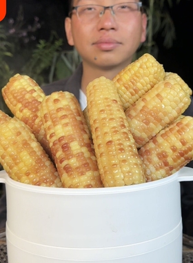 管涔农绿色有机玉米五寨玉米早餐代餐粗粮新鲜即食黄糯非转基因